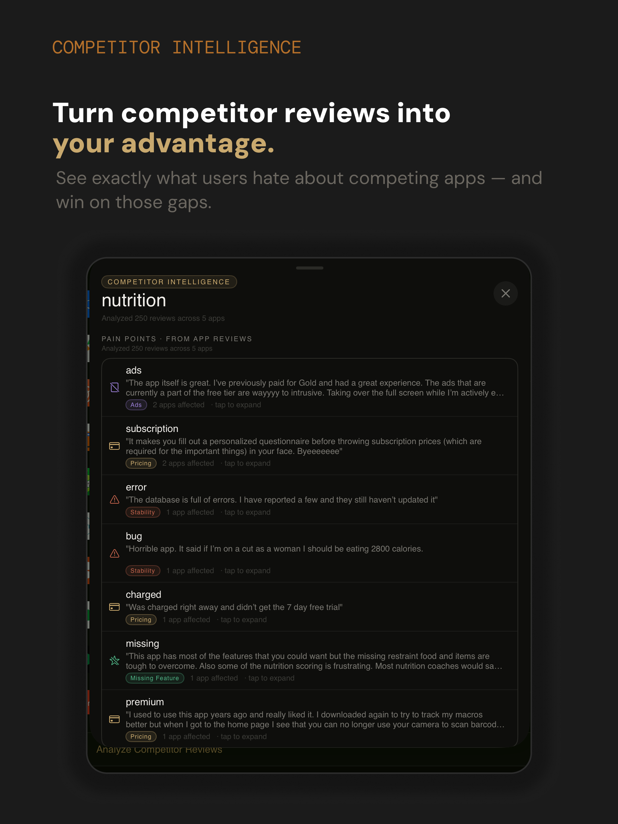 Keyword Scout on iPad — listing grader